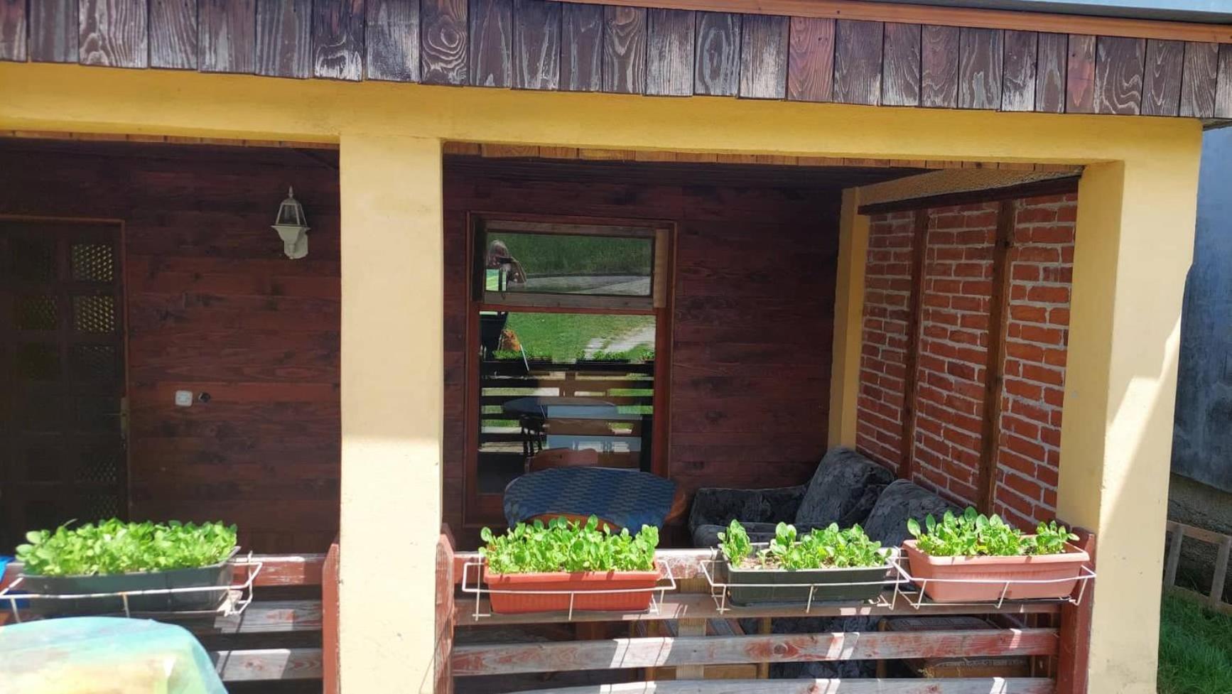 Farma 2 Guest House Cazin Luaran gambar